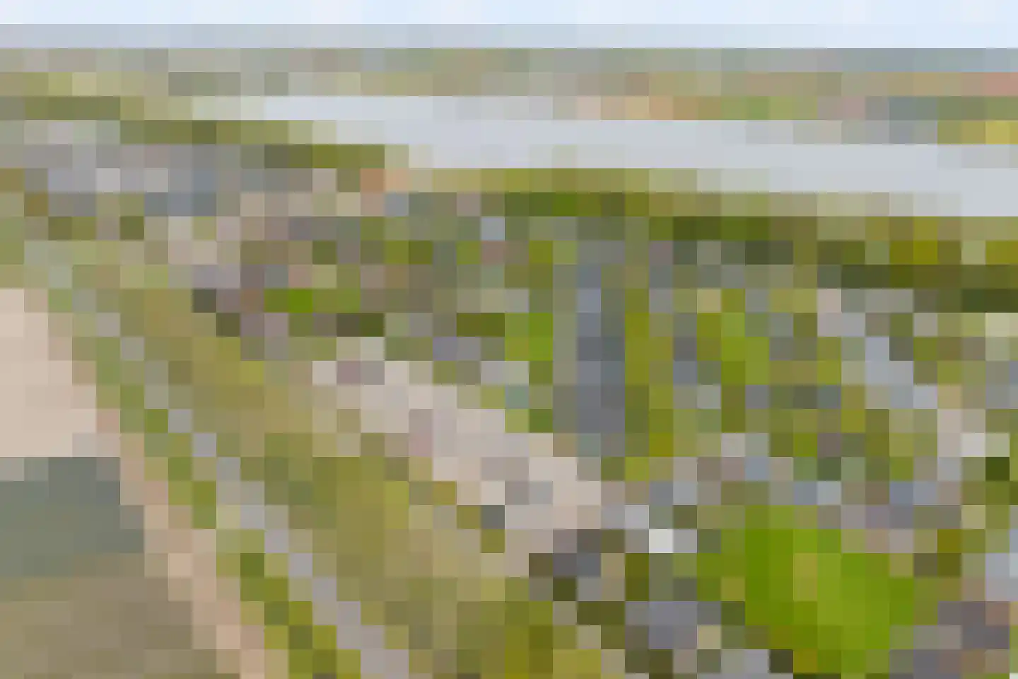Duinschooten 12 112 Noordwijkerhout thumbnail 32