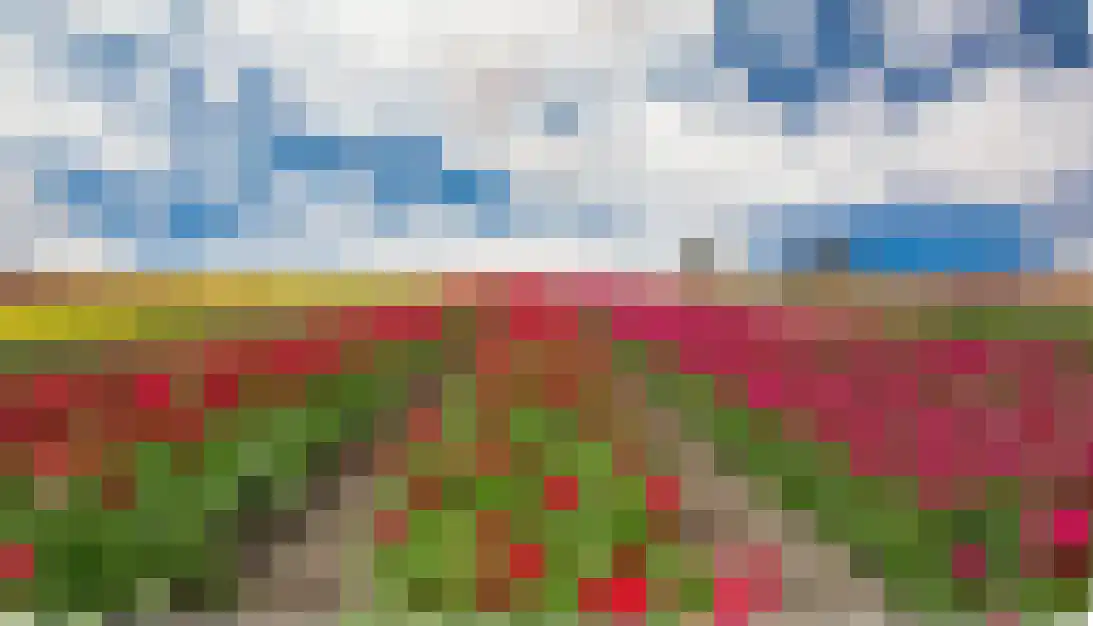 Duinschooten 12 112 Noordwijkerhout thumbnail 36