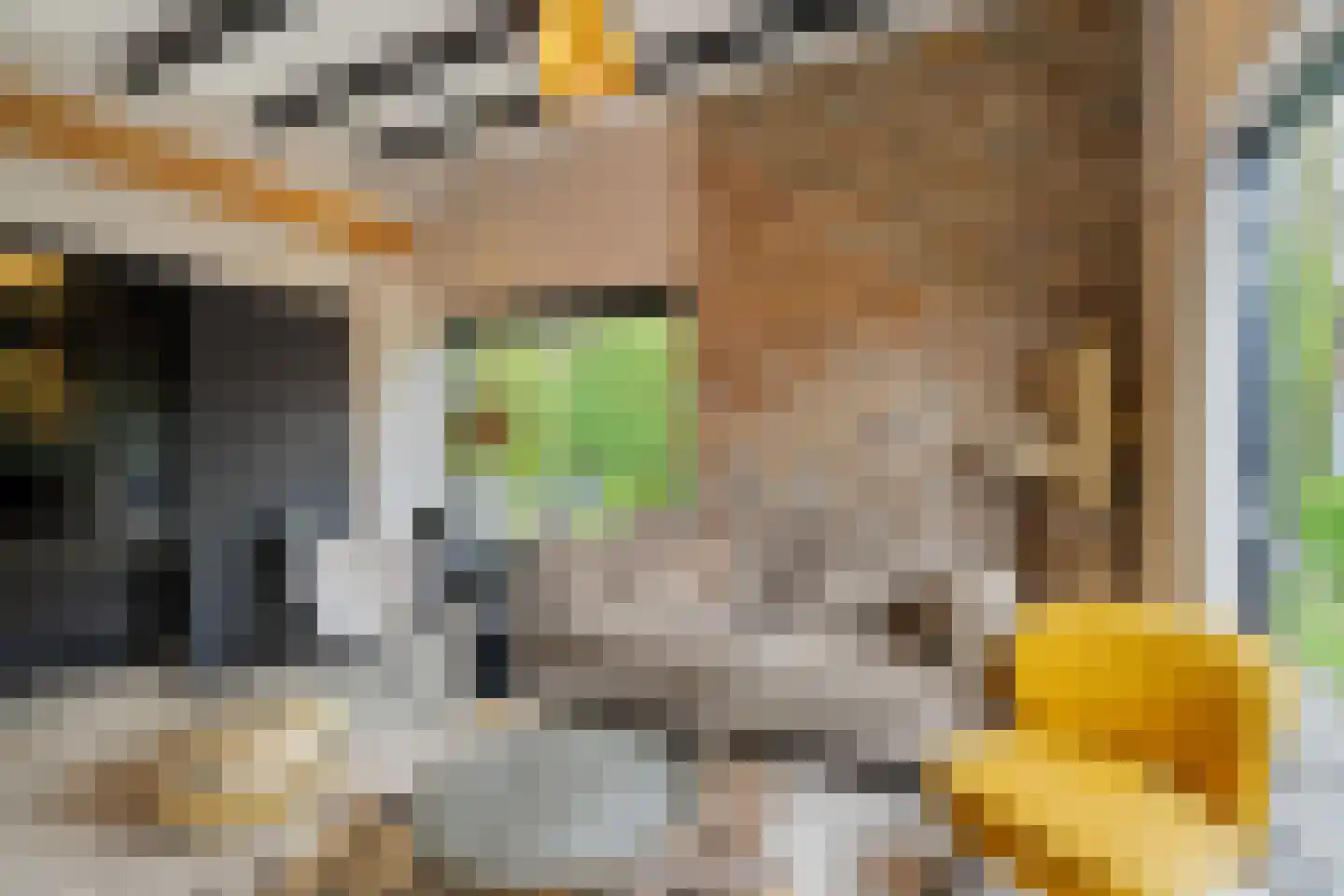 Duinschooten 12 112 Noordwijkerhout thumbnail 6