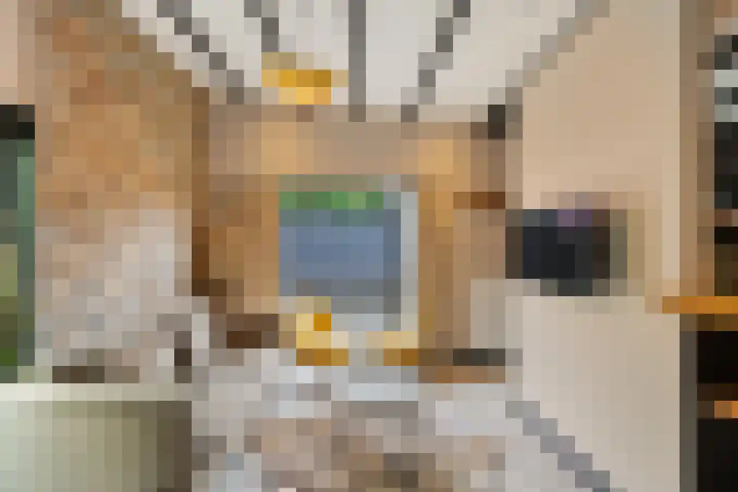 Duinschooten 12 112 Noordwijkerhout thumbnail 7