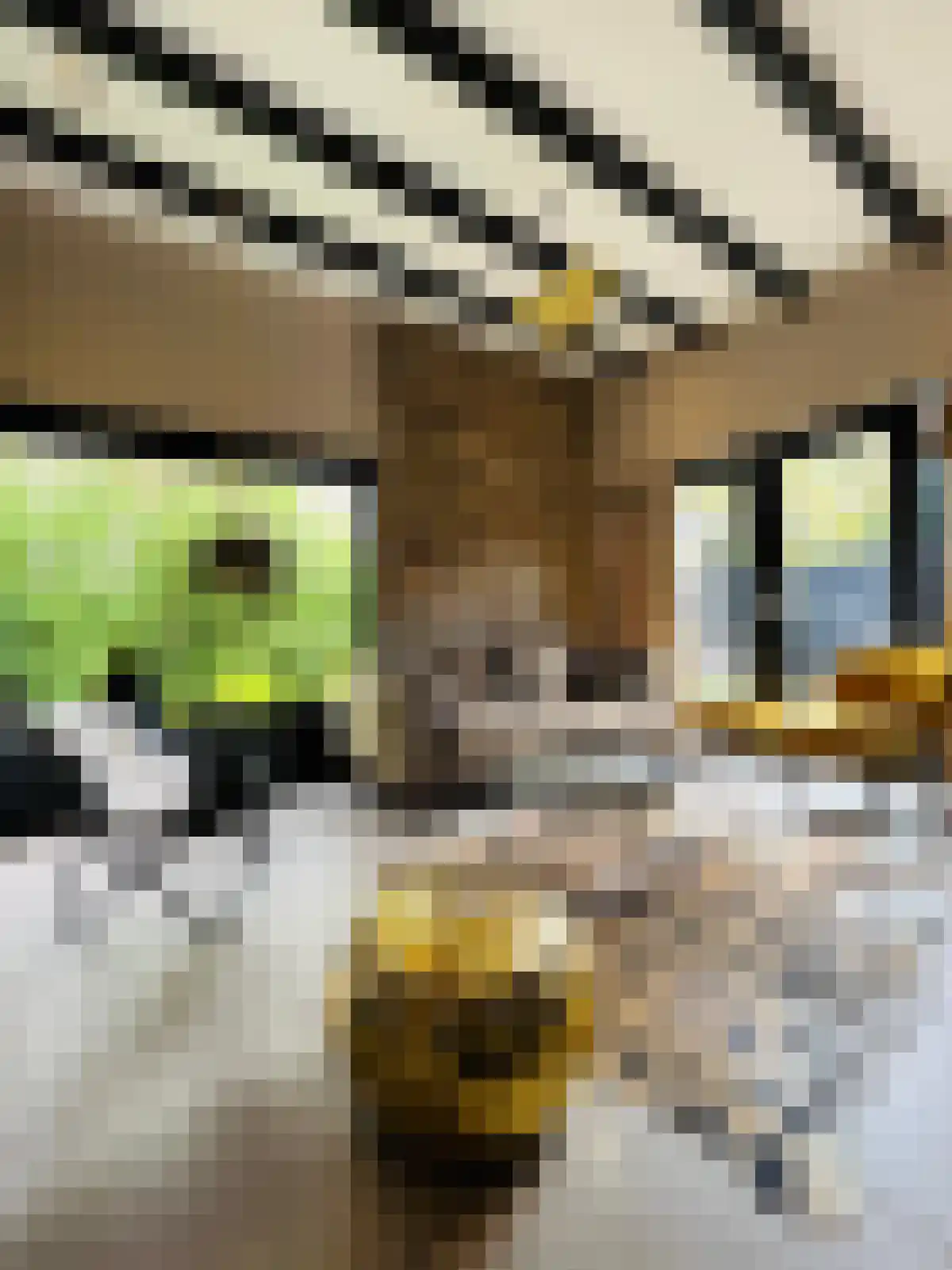 Duinschooten 12 112 Noordwijkerhout thumbnail 8