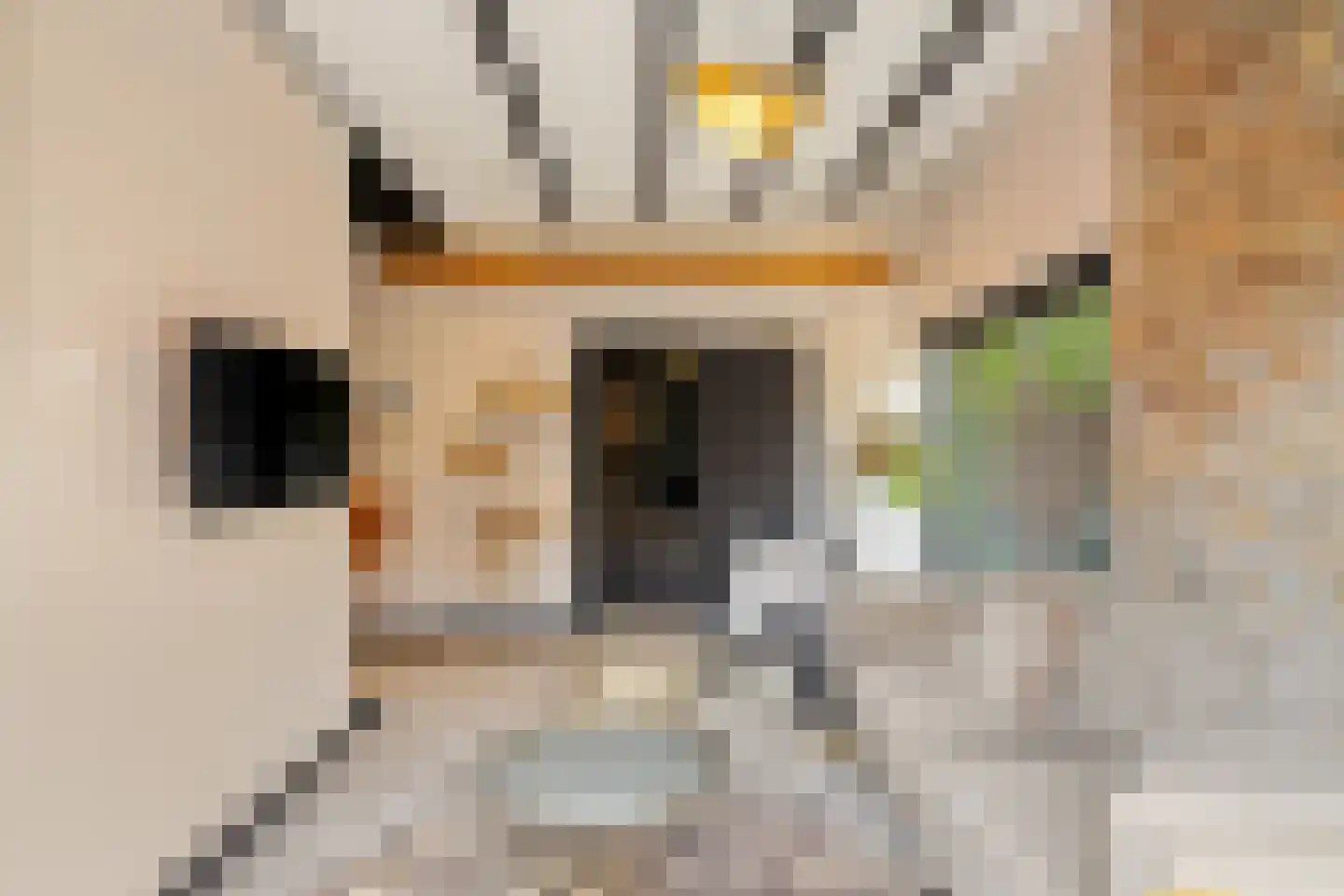 Duinschooten 12 112 Noordwijkerhout thumbnail 9