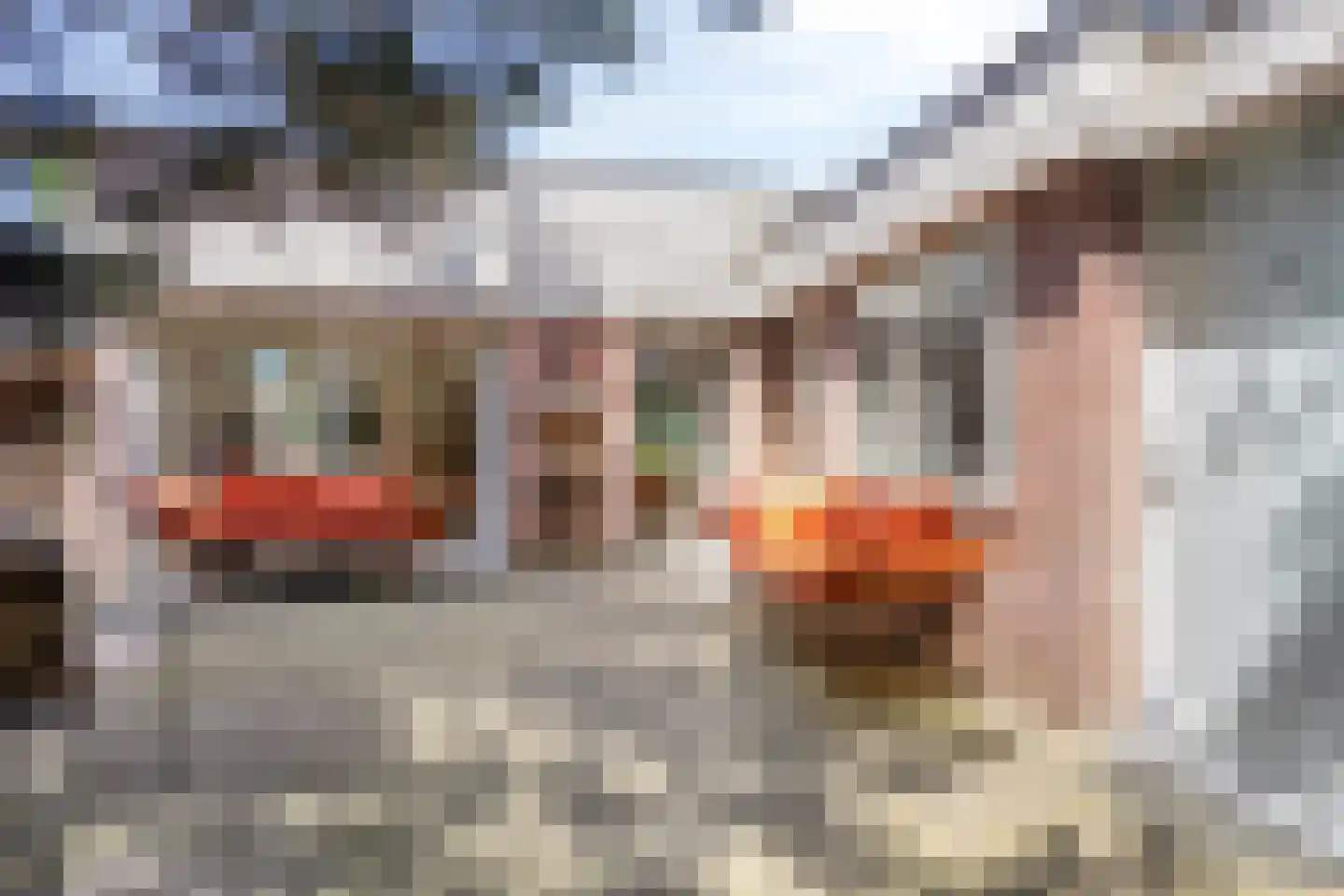 Duinschooten 12 116 Noordwijkerhout thumbnail 23