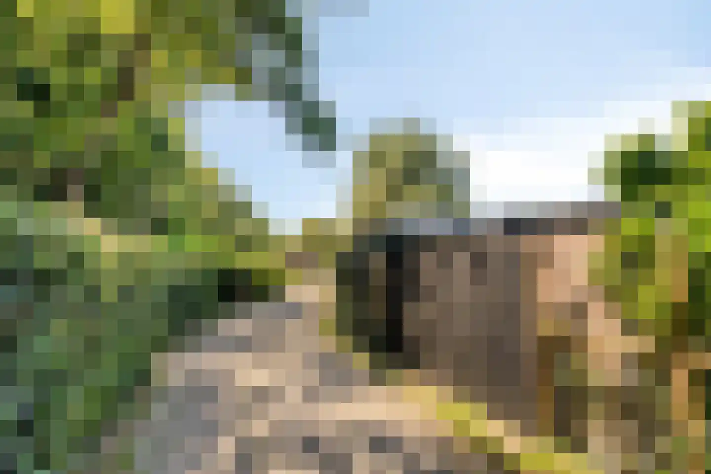 Duinschooten 12 116 Noordwijkerhout thumbnail 5