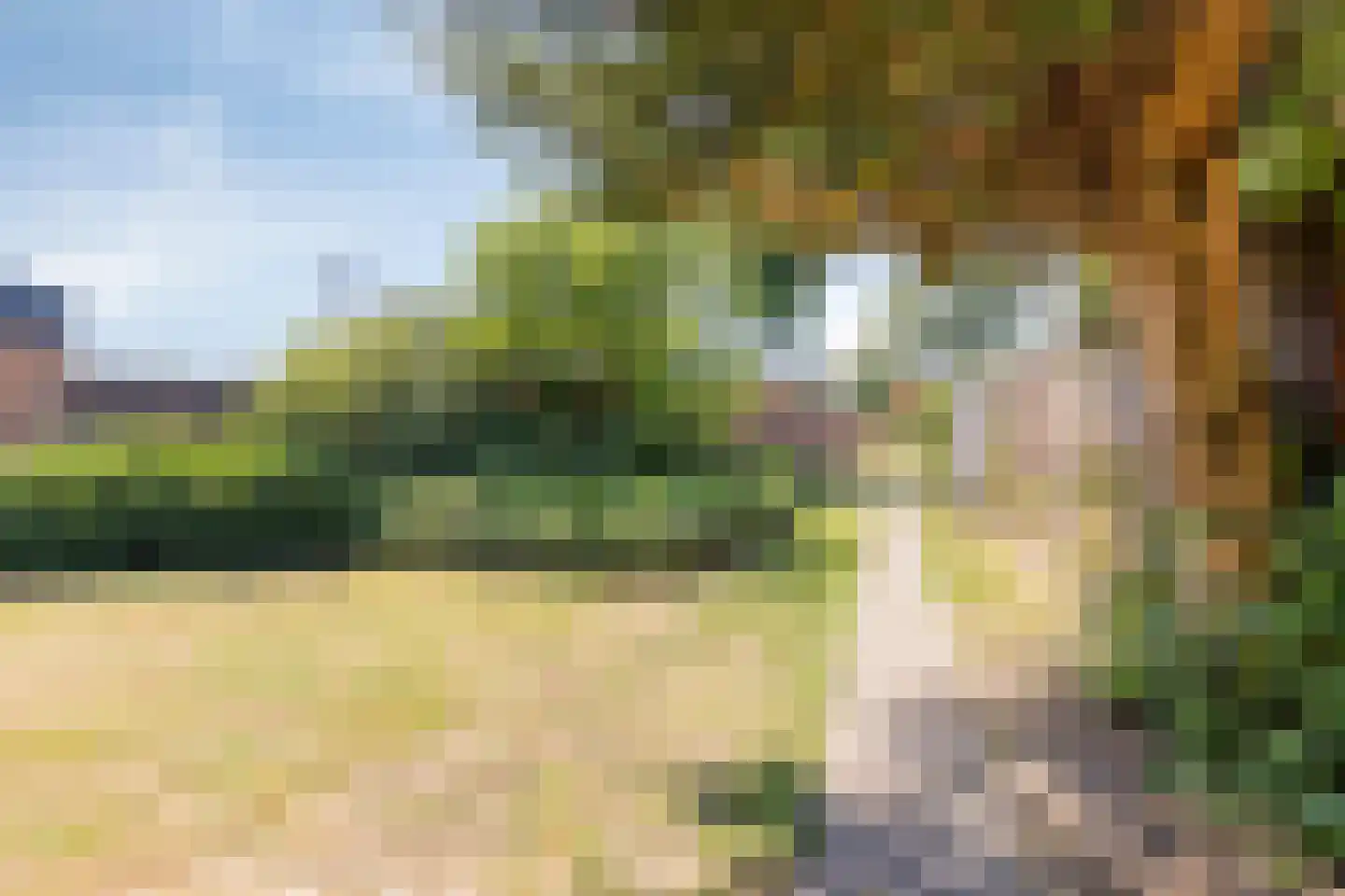 Duinschooten 12 118 Noordwijkerhout thumbnail 5