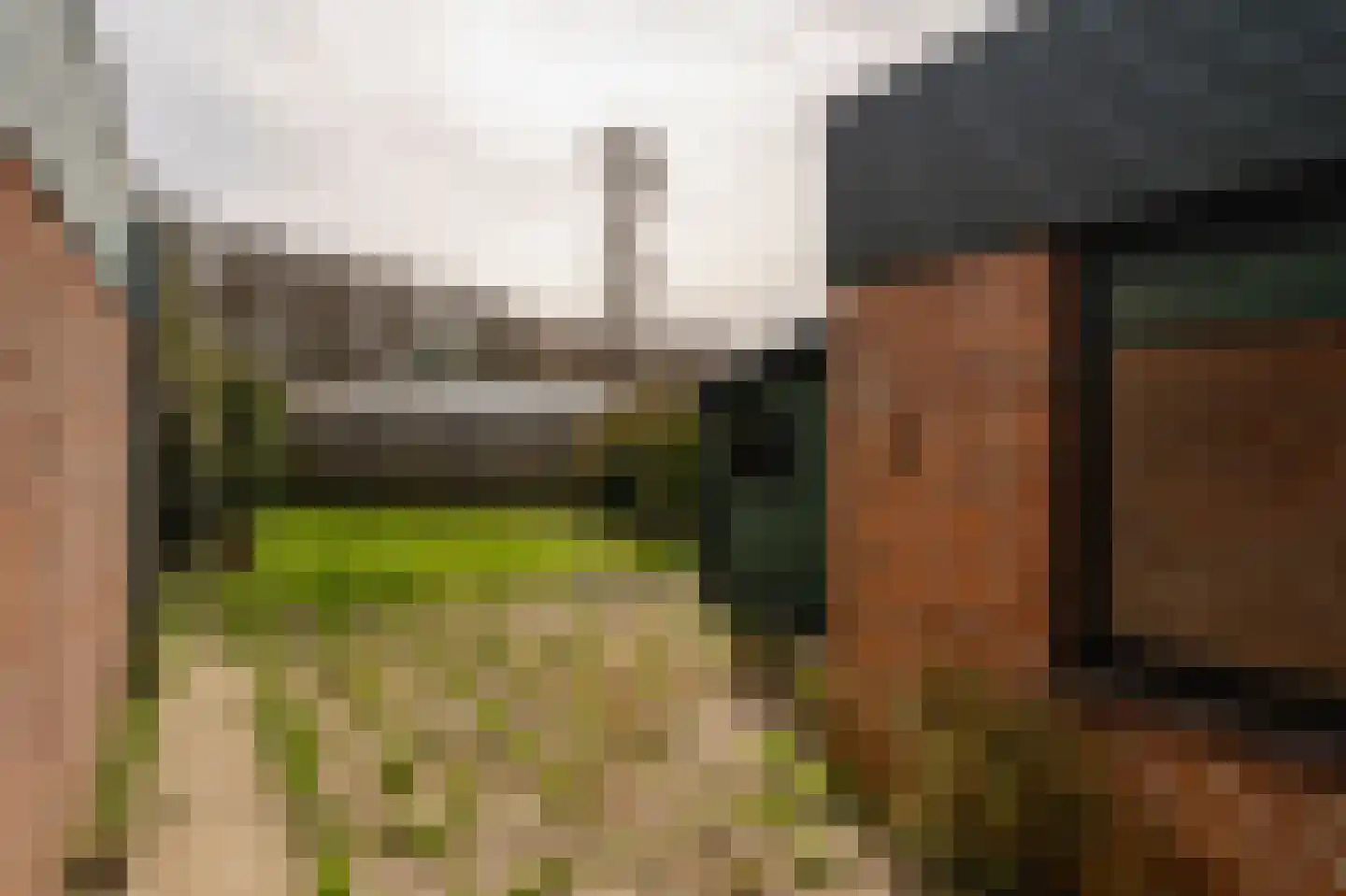 Duinschooten 12 131 Noordwijkerhout thumbnail 14