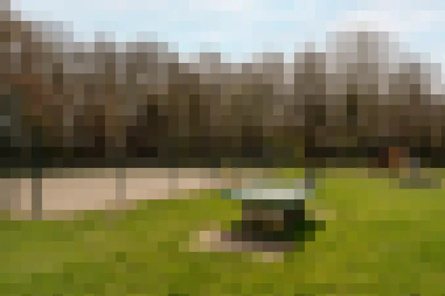 Duinschooten 12 131 Noordwijkerhout thumbnail 34