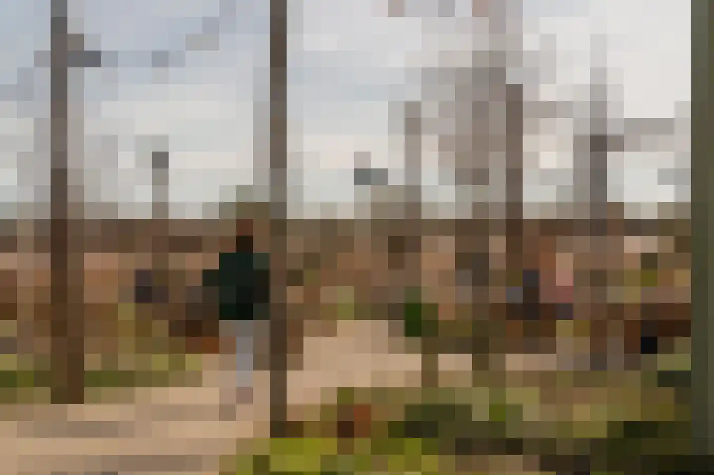 Duinschooten 12 131 Noordwijkerhout thumbnail 36