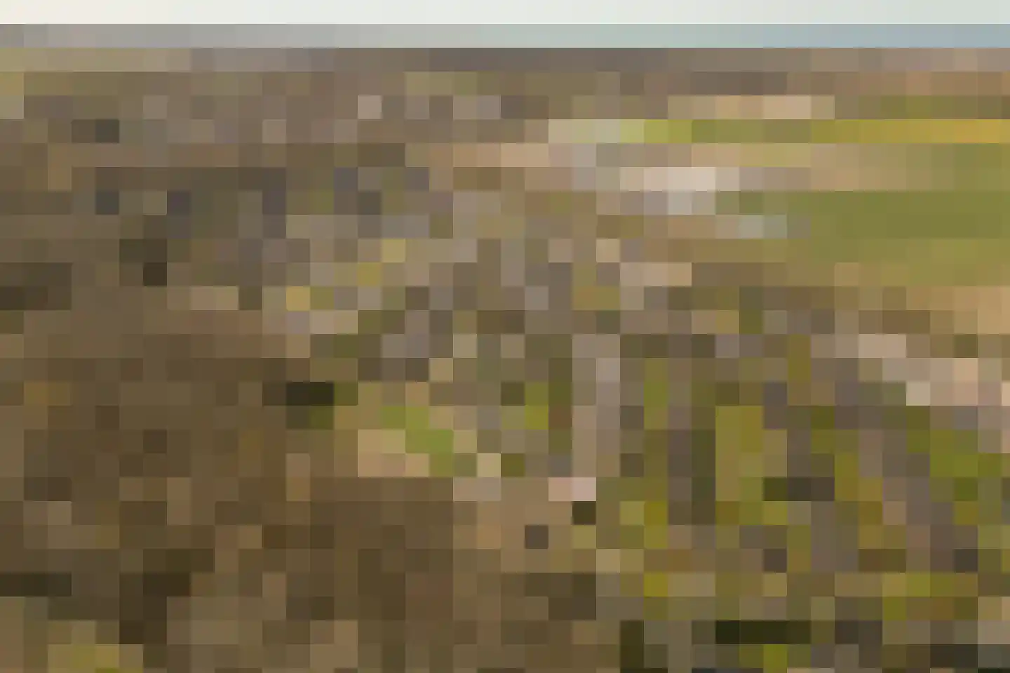 Duinschooten 12 131 Noordwijkerhout thumbnail 4