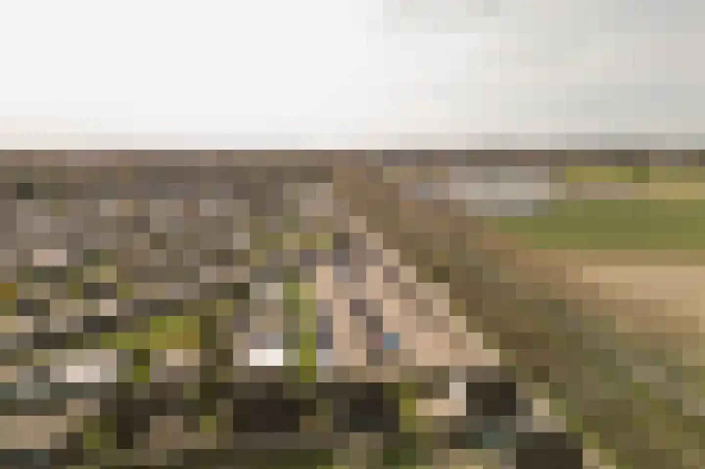 Duinschooten 12 131 Noordwijkerhout thumbnail 40