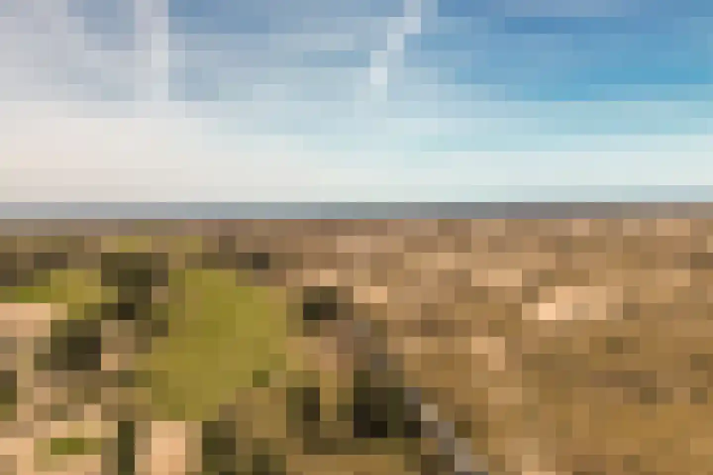 Duinschooten 12 131 Noordwijkerhout thumbnail 42
