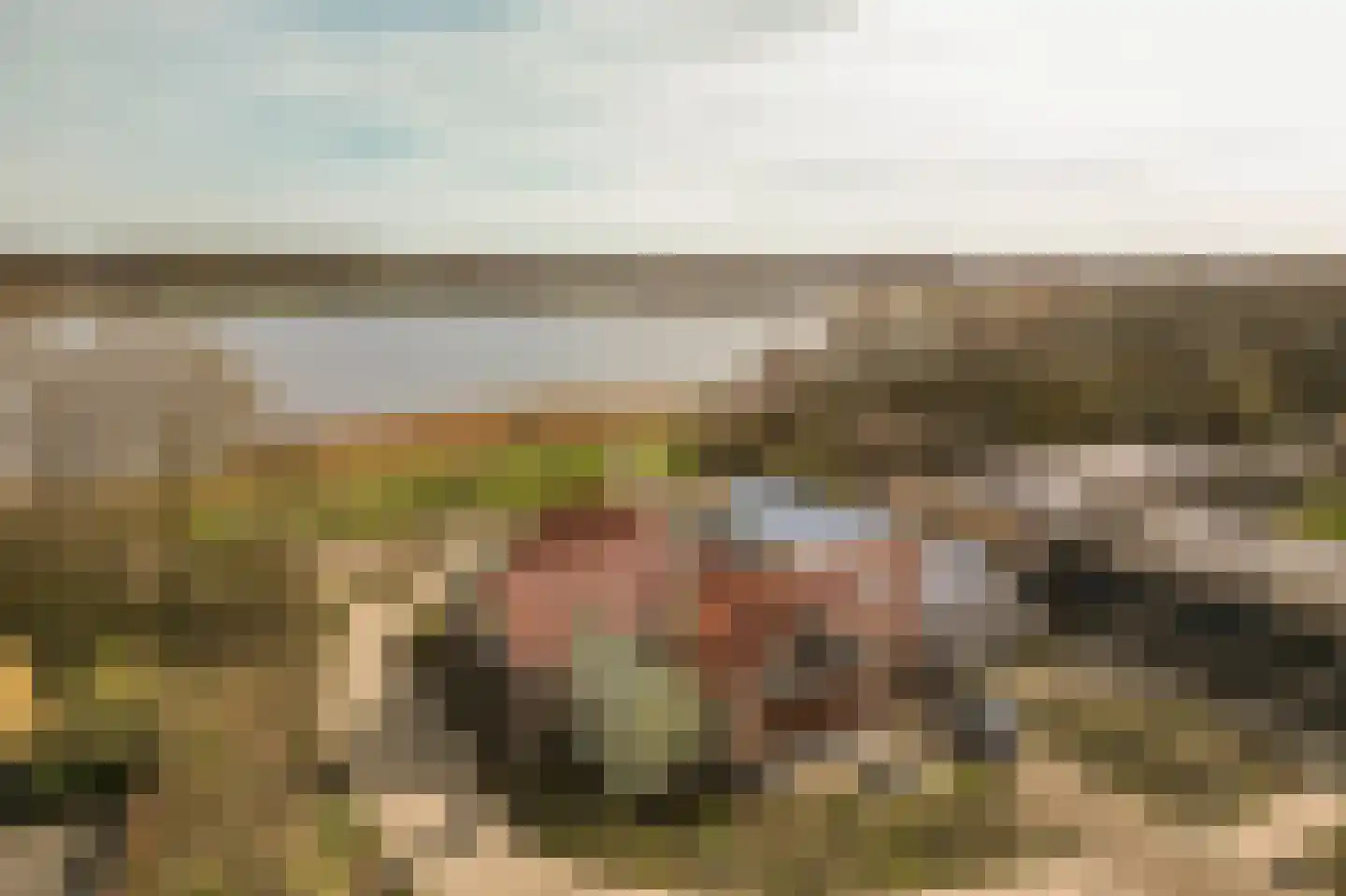 Duinschooten 12 131 Noordwijkerhout thumbnail 5