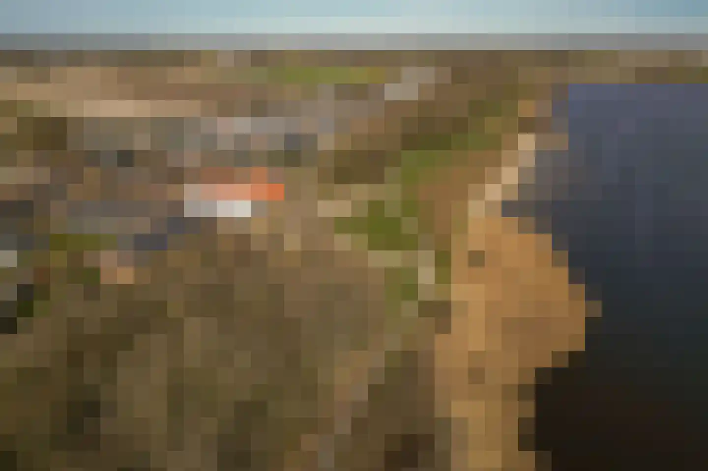 Duinschooten 12 131 Noordwijkerhout thumbnail 6