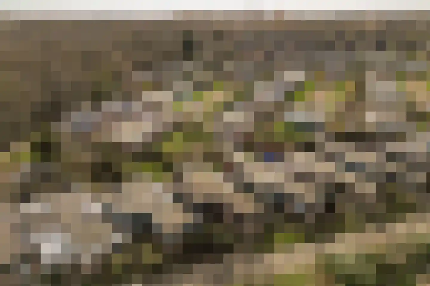 Duinschooten 12 131 Noordwijkerhout thumbnail 8