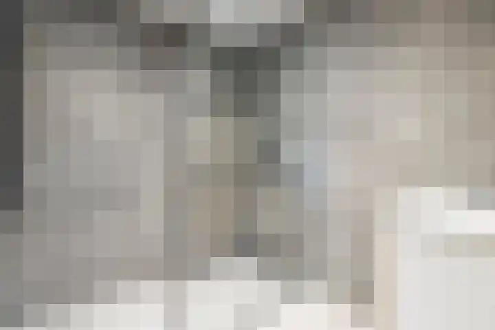 Duinschooten 12 135 Noordwijkerhout thumbnail 14
