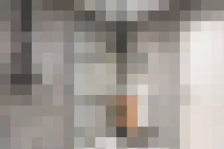 Duinschooten 12 135 Noordwijkerhout thumbnail 15