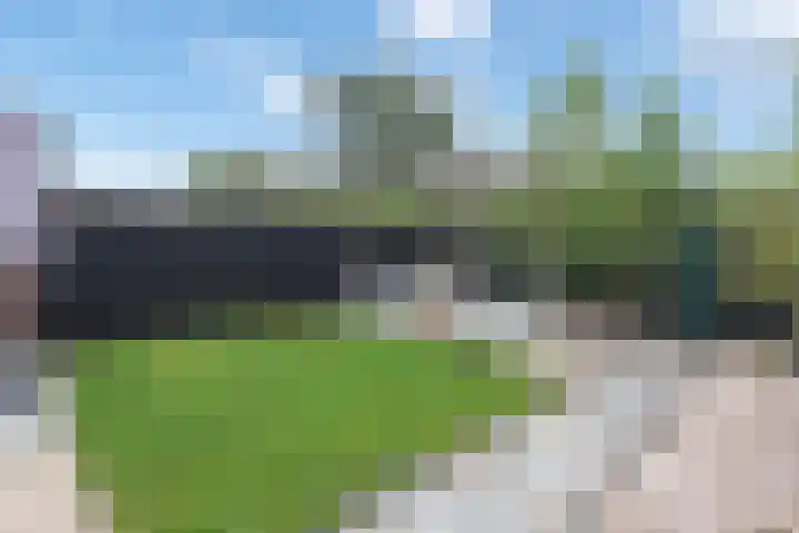 Duinschooten 12 135 Noordwijkerhout thumbnail 19