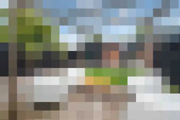 Duinschooten 12 135 Noordwijkerhout thumbnail 21