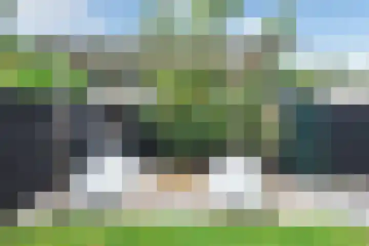 Duinschooten 12 135 Noordwijkerhout thumbnail 22
