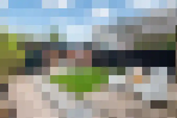 Duinschooten 12 135 Noordwijkerhout thumbnail 23