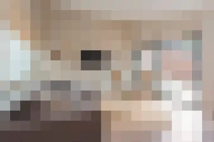 Duinschooten 12 135 Noordwijkerhout thumbnail 24