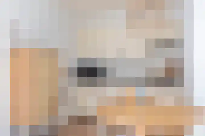 Duinschooten 12 135 Noordwijkerhout thumbnail 25