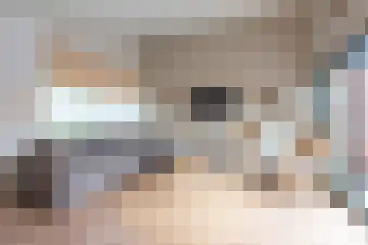 Duinschooten 12 135 Noordwijkerhout thumbnail 5