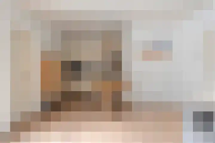 Duinschooten 12 135 Noordwijkerhout thumbnail 6