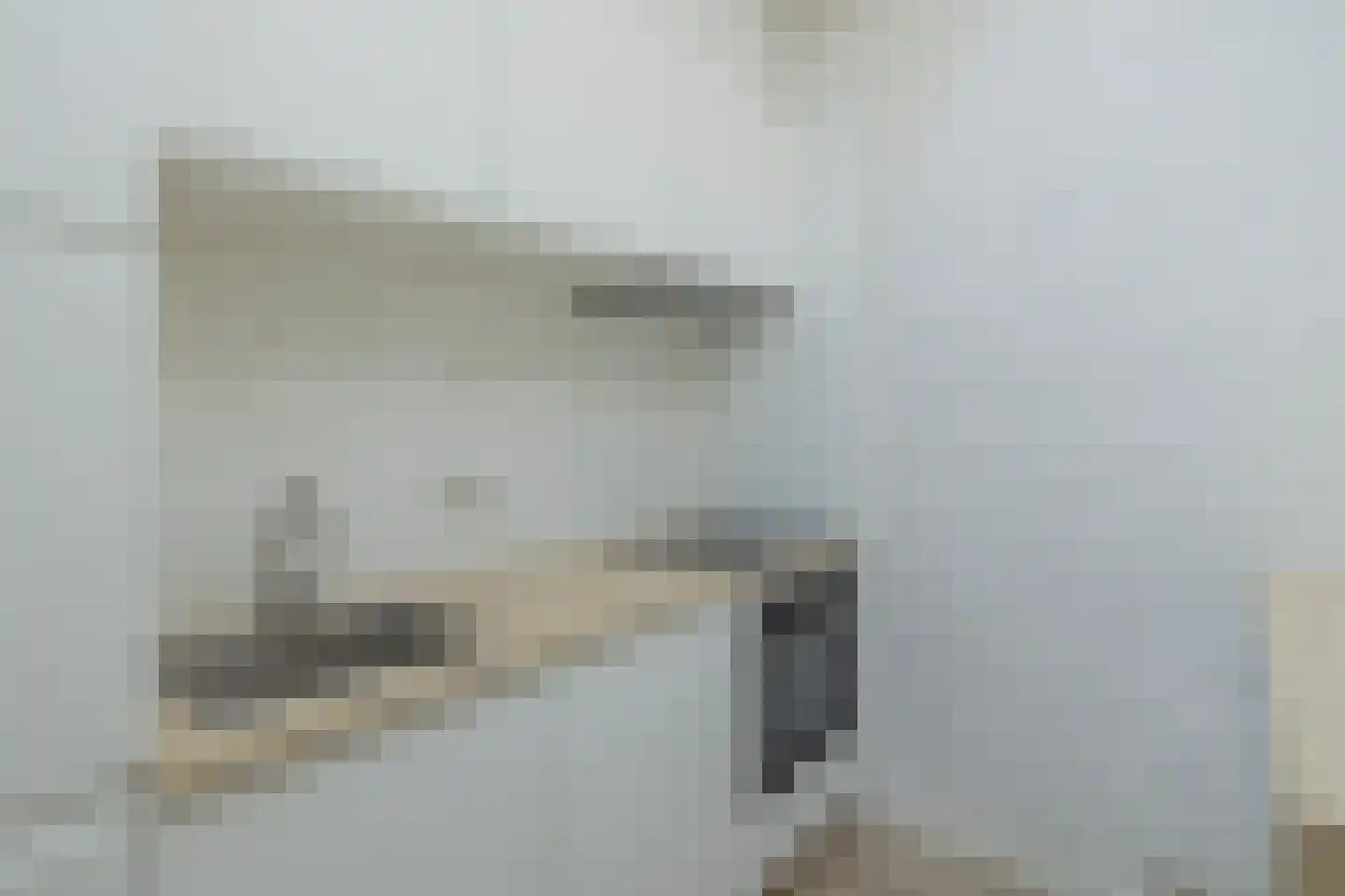 Duinschooten 12 142 Noordwijkerhout thumbnail 11