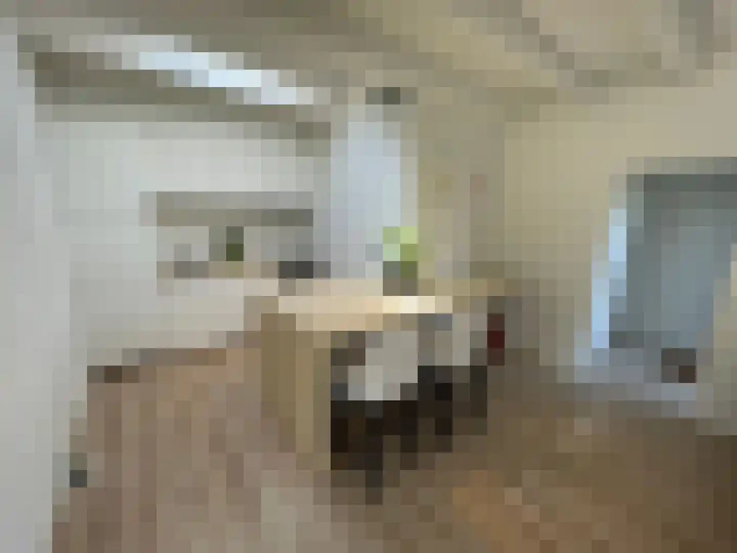 Duinschooten 12 142 Noordwijkerhout thumbnail 12
