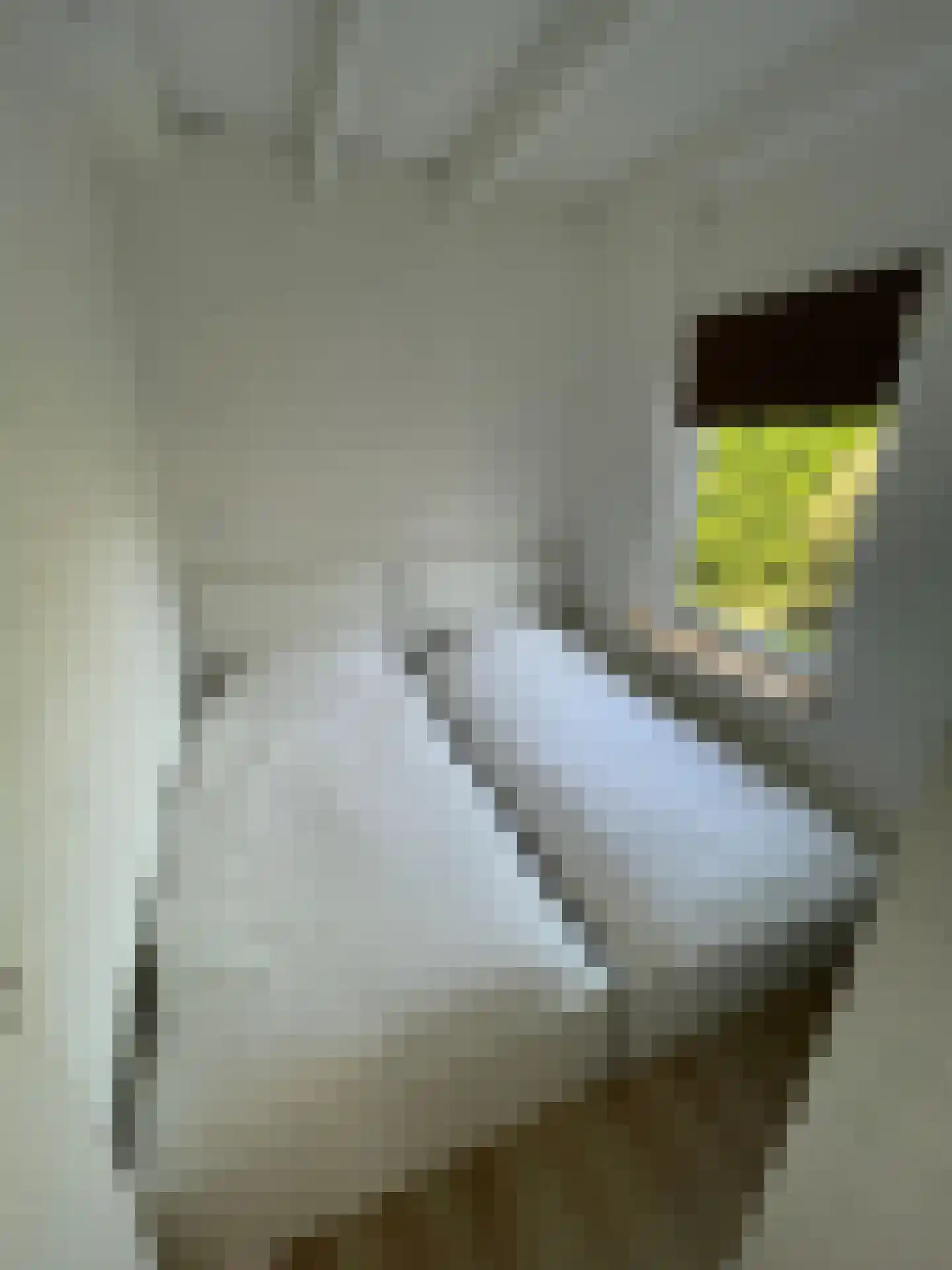 Duinschooten 12 142 Noordwijkerhout thumbnail 21
