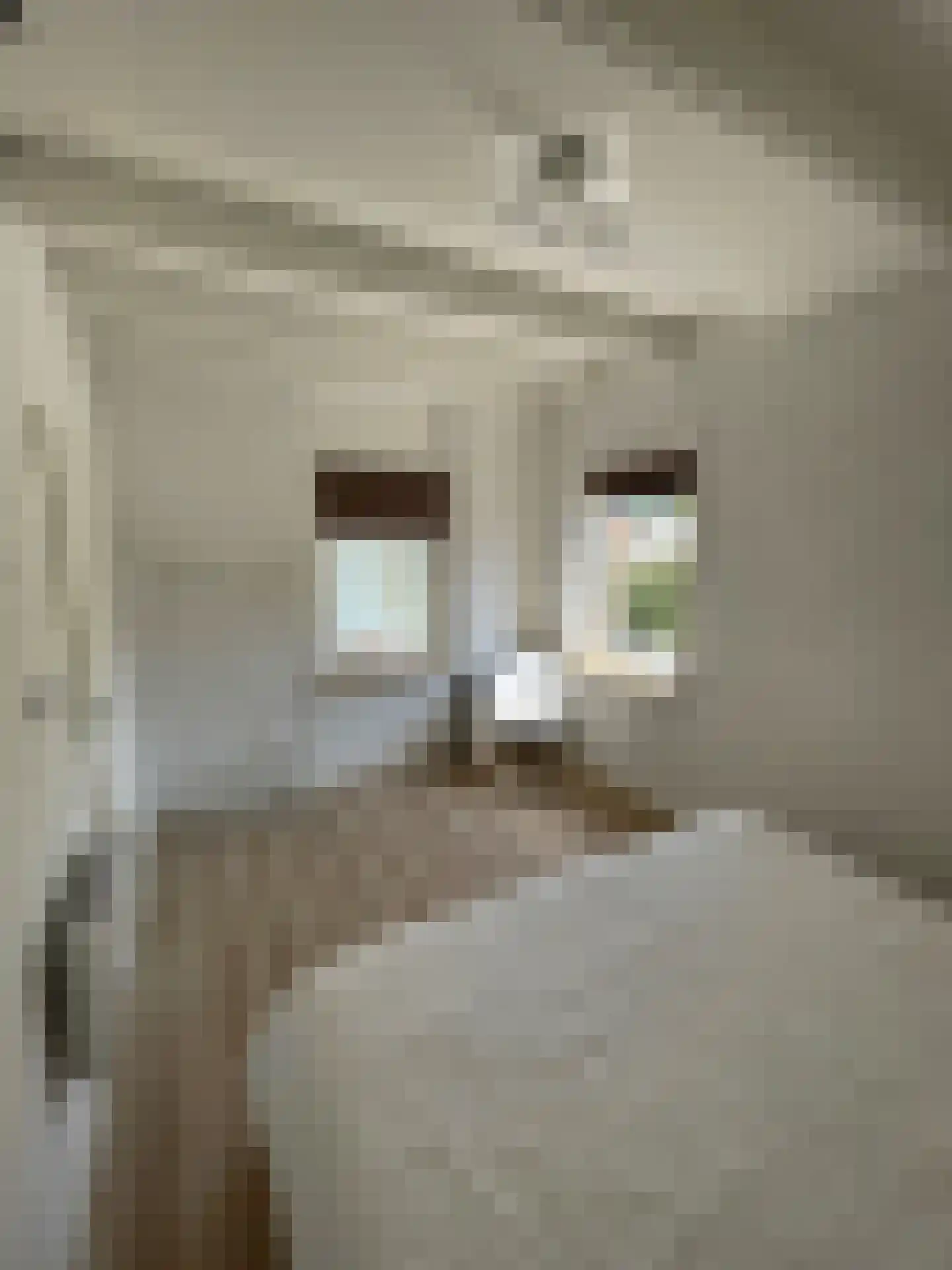Duinschooten 12 142 Noordwijkerhout thumbnail 22