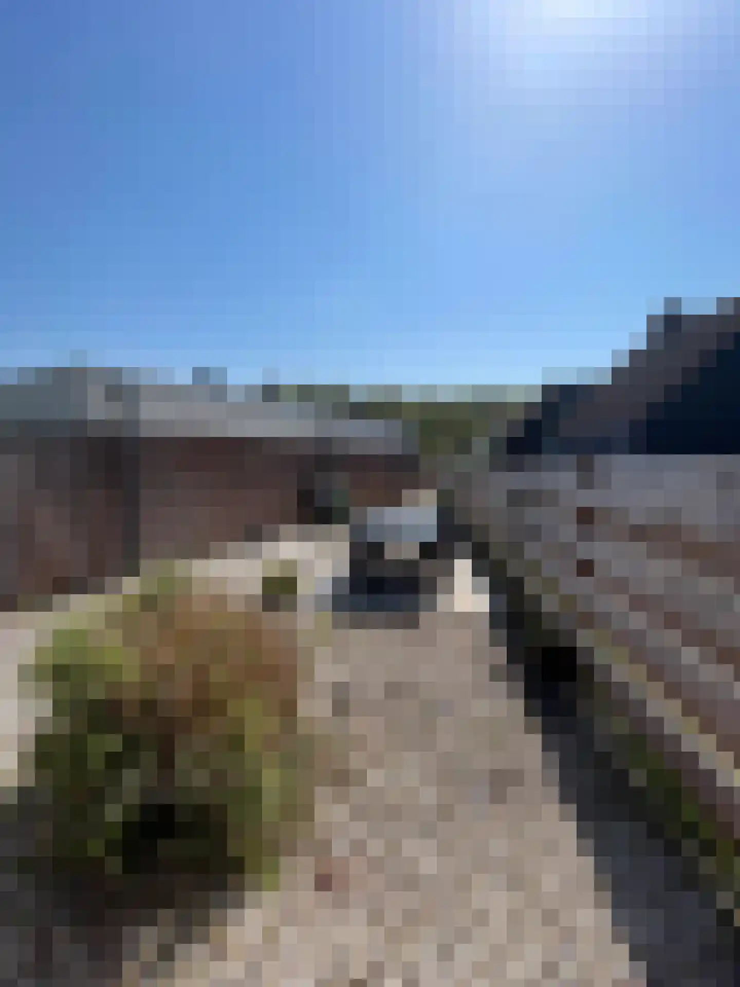 Duinschooten 12 142 Noordwijkerhout thumbnail 24