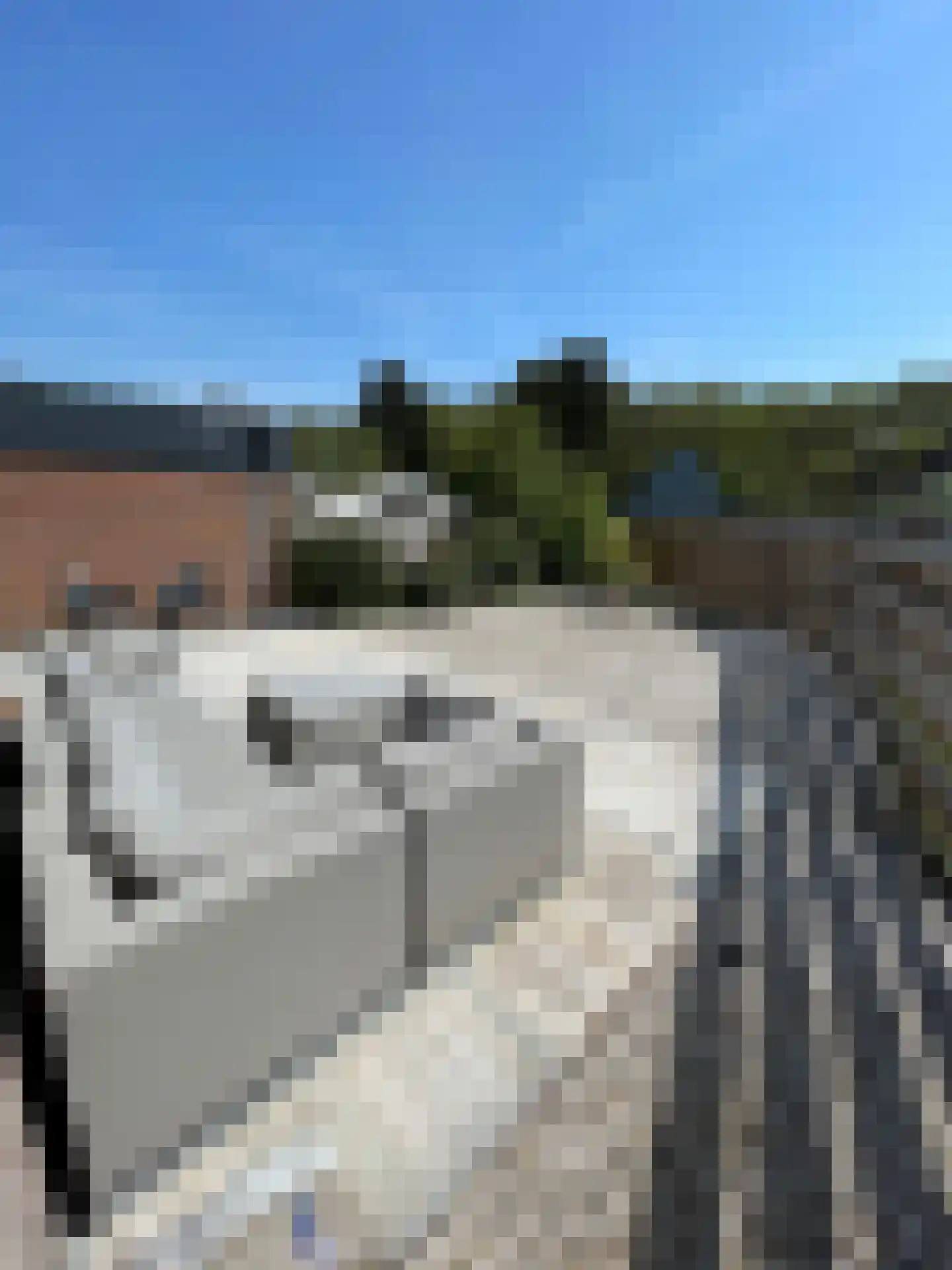 Duinschooten 12 142 Noordwijkerhout thumbnail 25