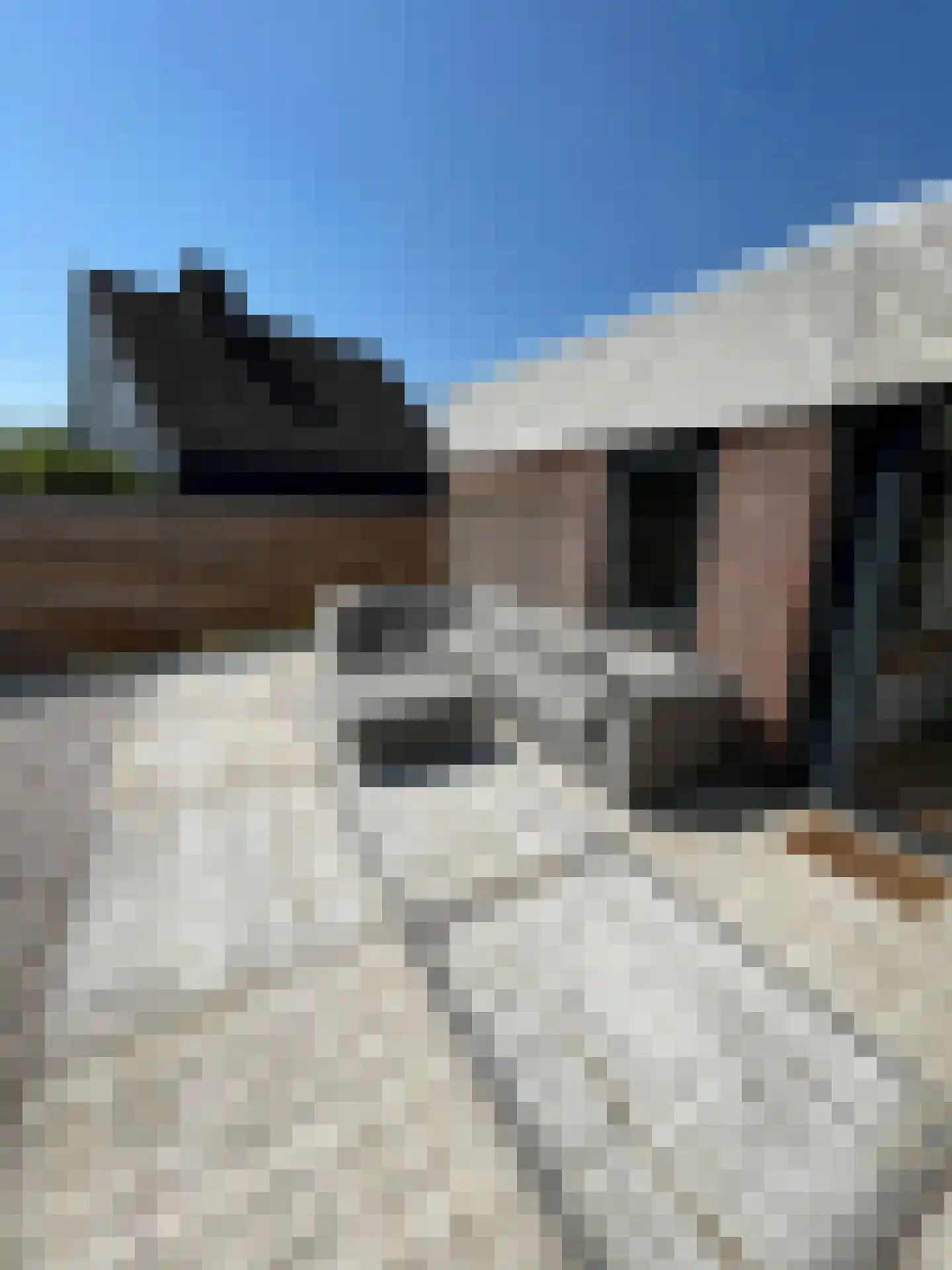 Duinschooten 12 142 Noordwijkerhout thumbnail 26