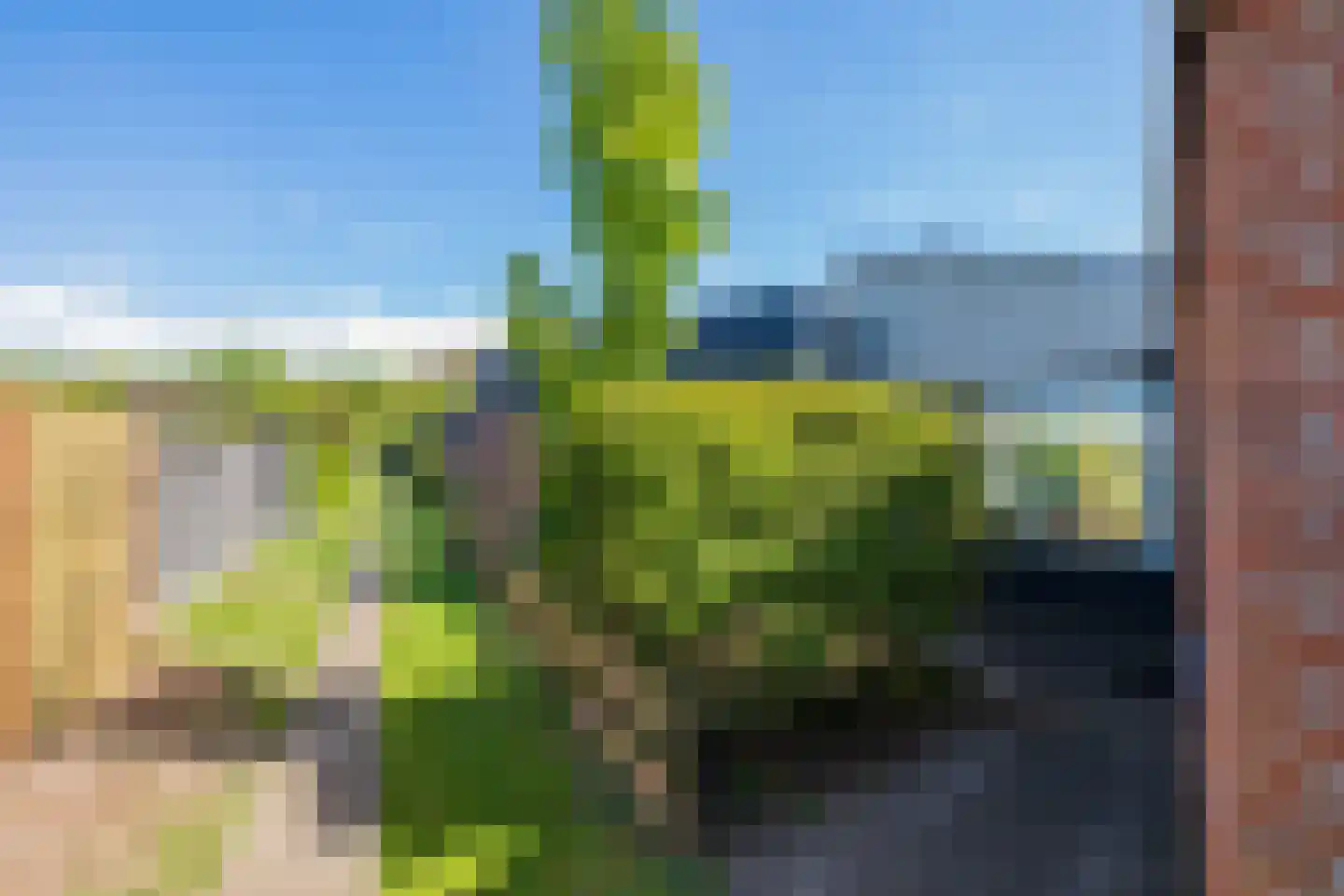 Duinschooten 12 142 Noordwijkerhout thumbnail 4