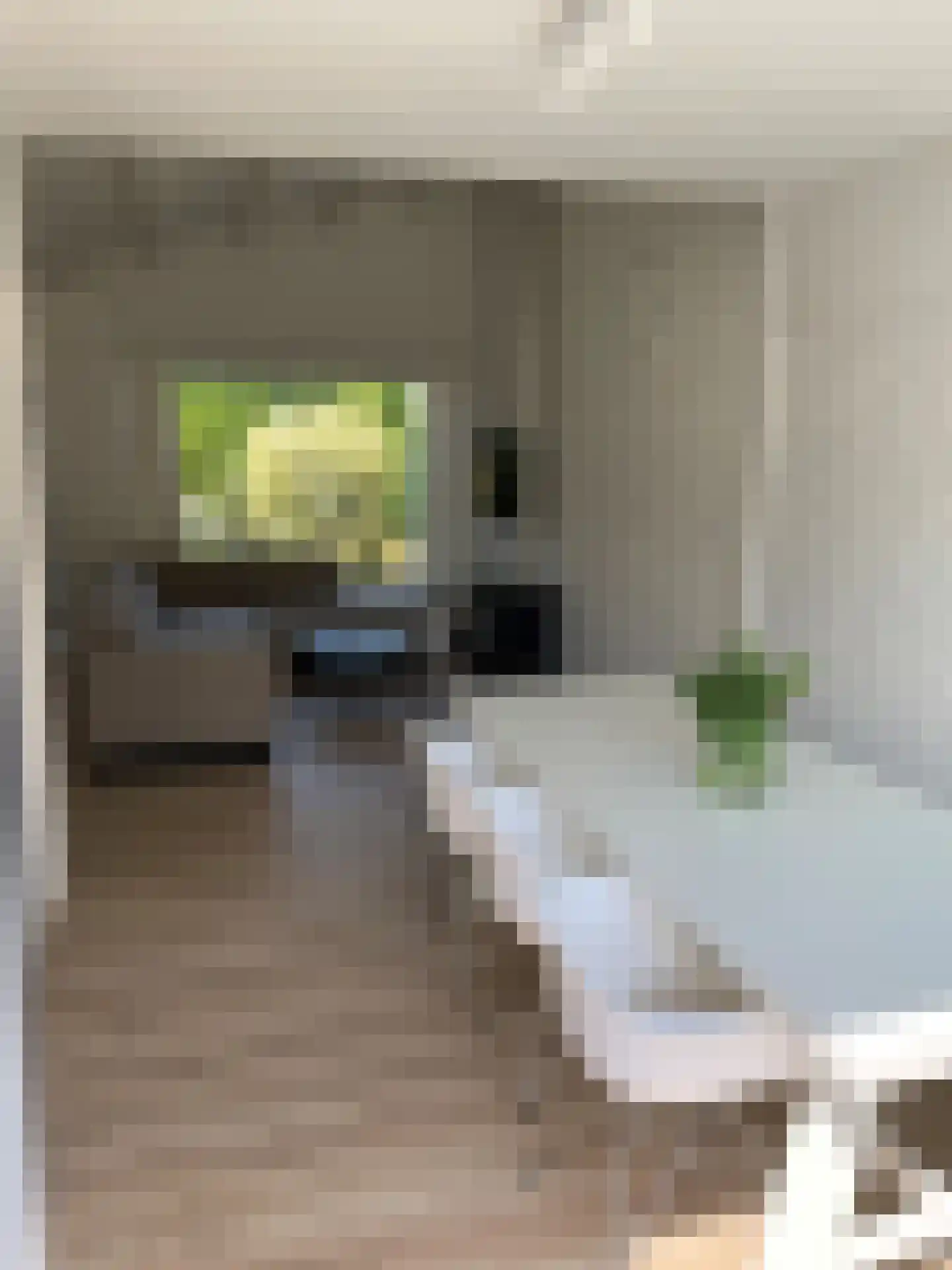 Duinschooten 12 142 Noordwijkerhout thumbnail 4