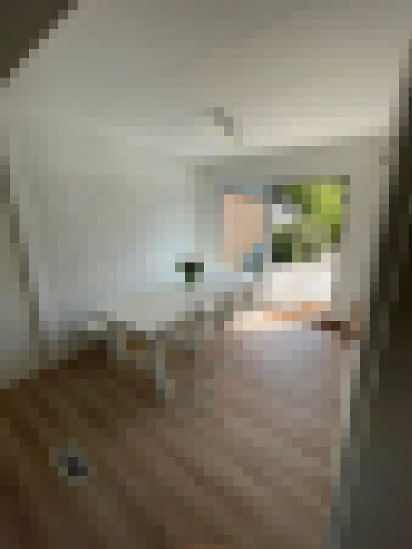 Duinschooten 12 142 Noordwijkerhout thumbnail 6