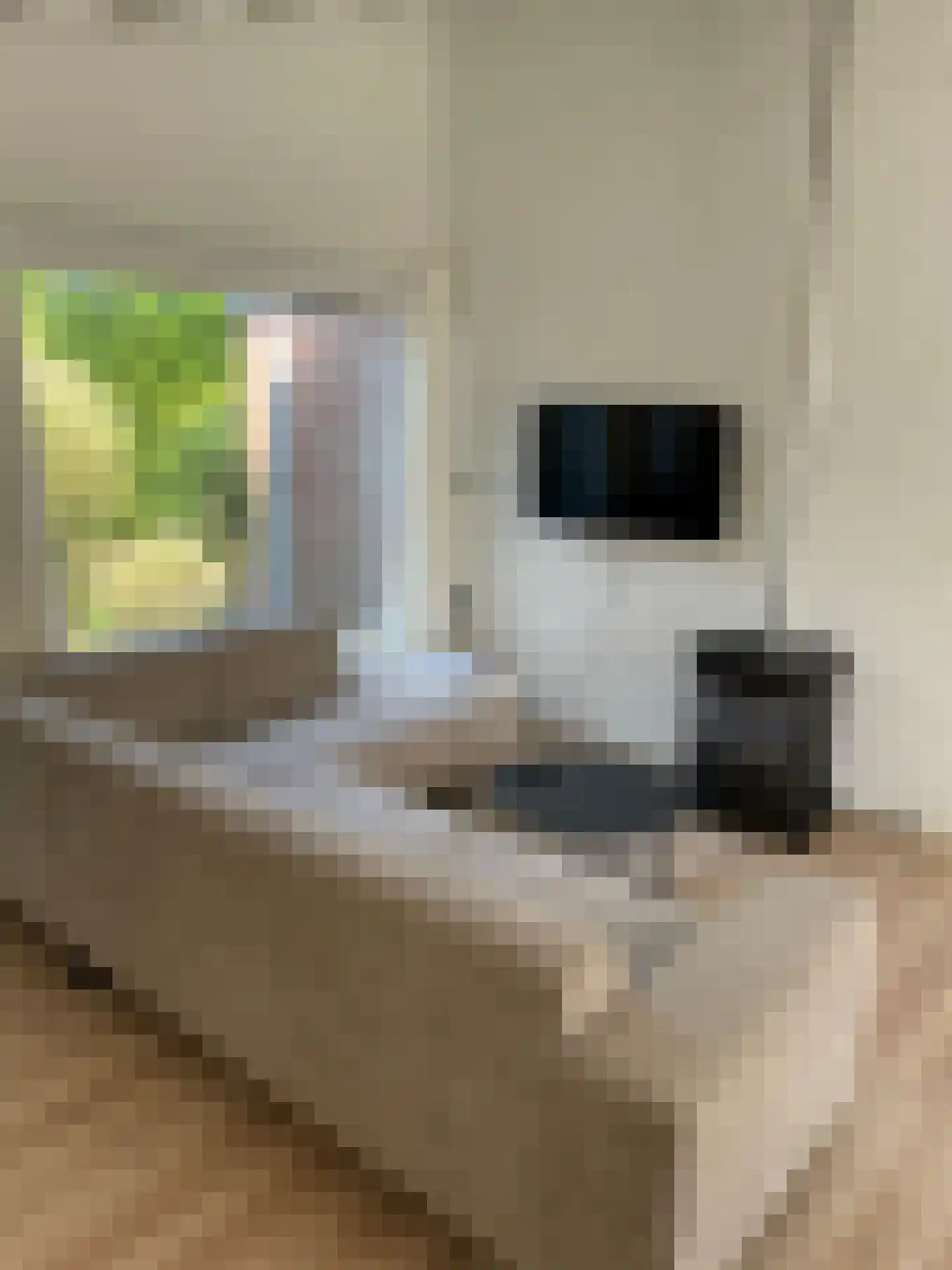 Duinschooten 12 142 Noordwijkerhout thumbnail 7