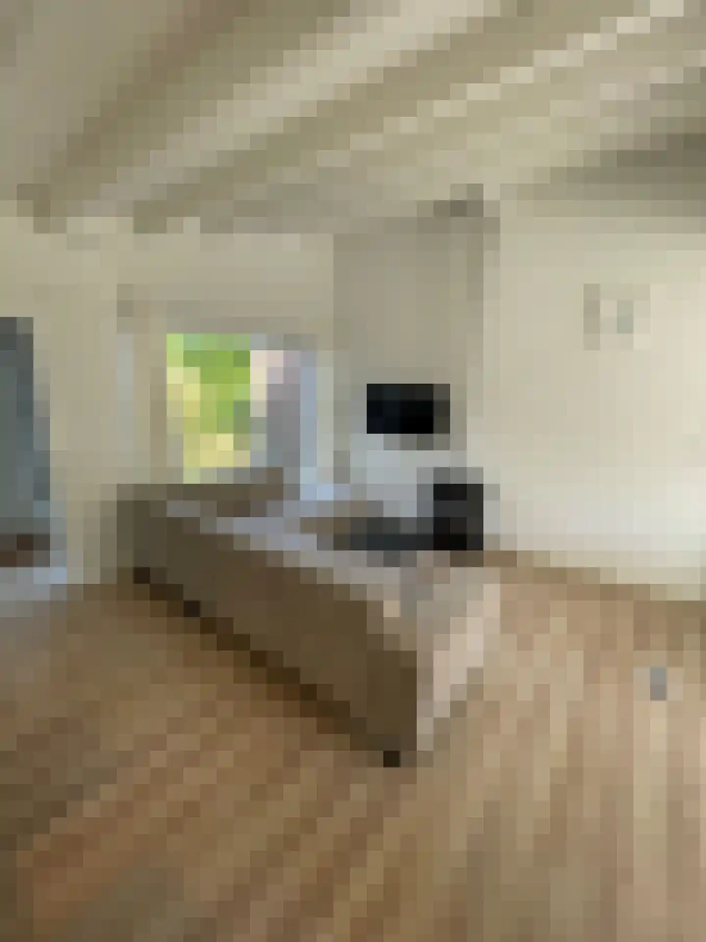 Duinschooten 12 142 Noordwijkerhout thumbnail 8