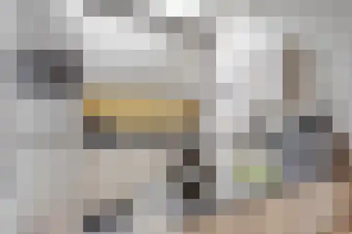 Duinschooten 12 150 Noordwijkerhout thumbnail 18