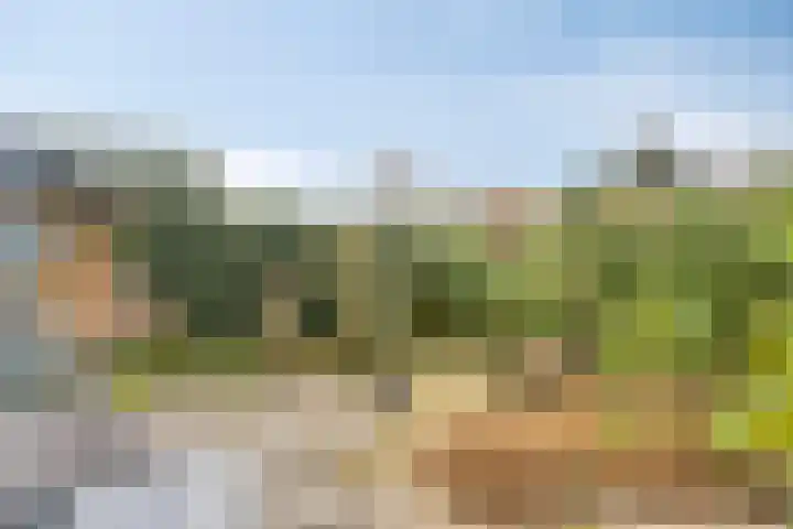 Duinschooten 12 150 Noordwijkerhout thumbnail 28