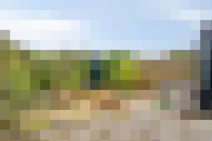 Duinschooten 12 150 Noordwijkerhout thumbnail 29
