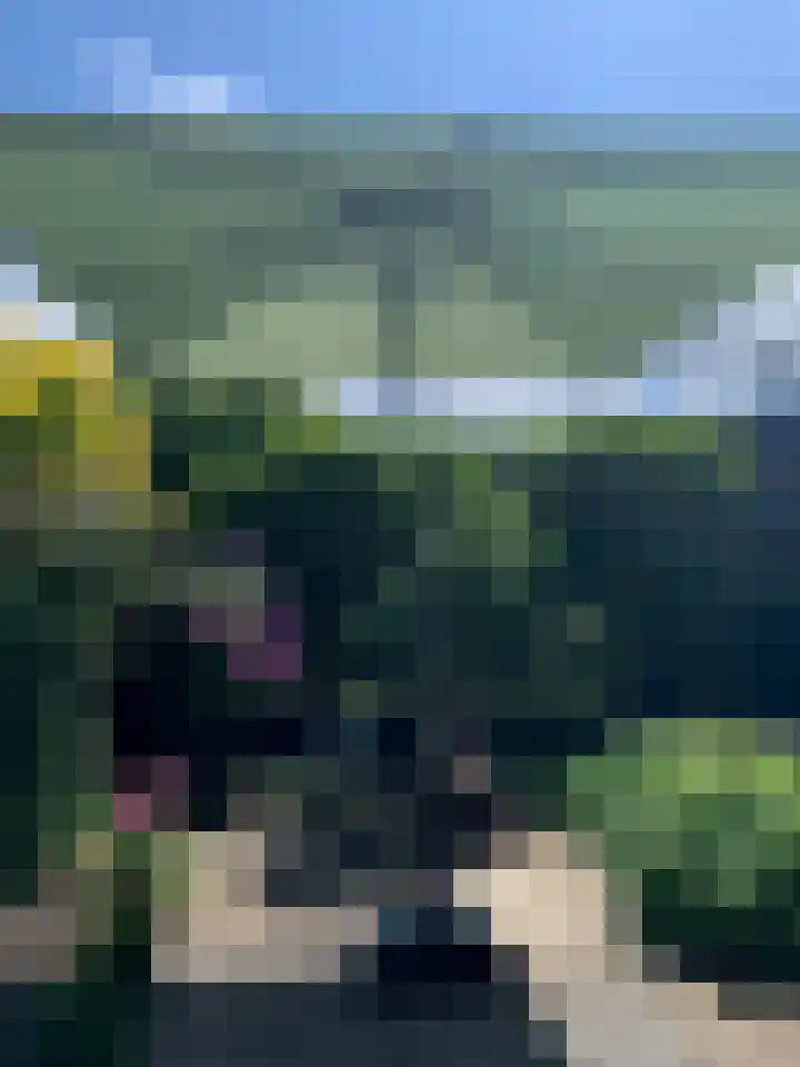 Duinschooten 12 150 Noordwijkerhout thumbnail 30