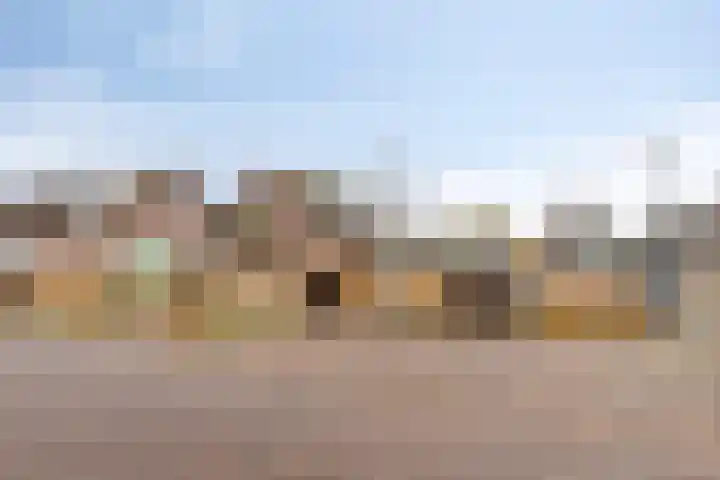 Duinschooten 12 150 Noordwijkerhout thumbnail 31