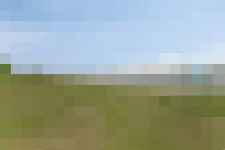 Duinschooten 12 150 Noordwijkerhout thumbnail 34