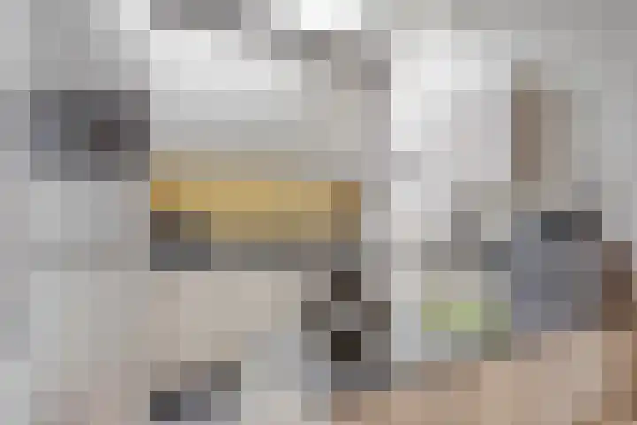 Duinschooten 12 150 Noordwijkerhout thumbnail 4