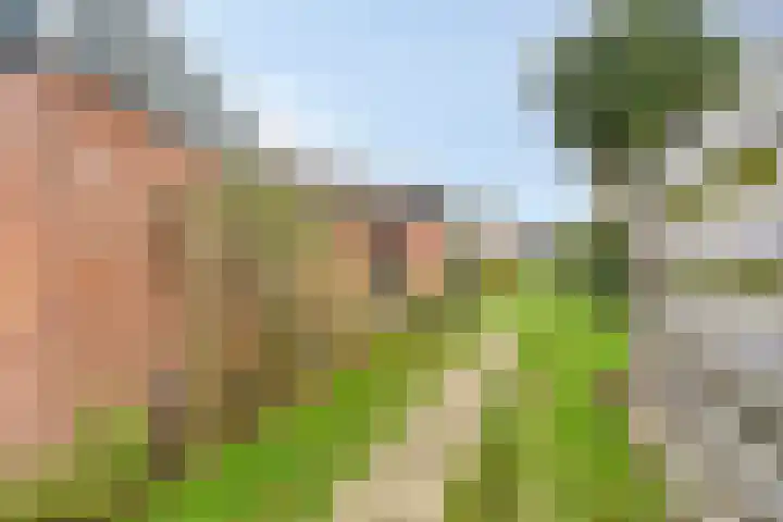 Duinschooten 12 150 Noordwijkerhout thumbnail 6