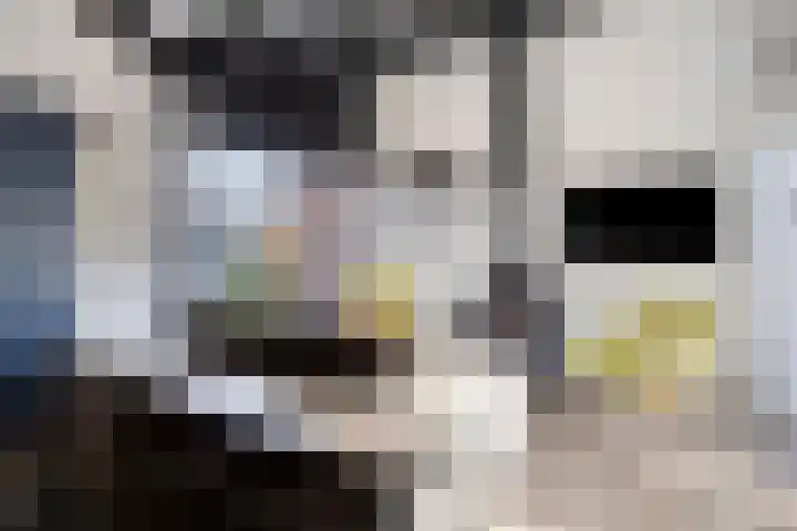 Duinschooten 12 152 Noordwijkerhout thumbnail 10