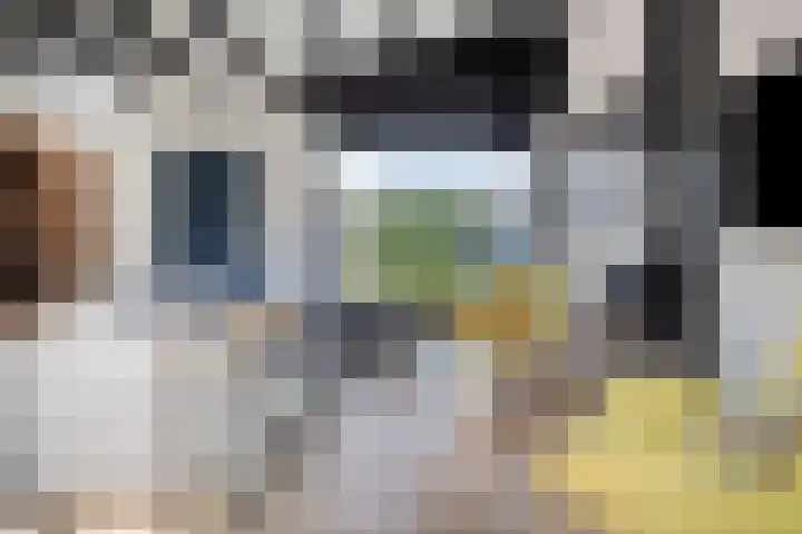 Duinschooten 12 152 Noordwijkerhout thumbnail 11